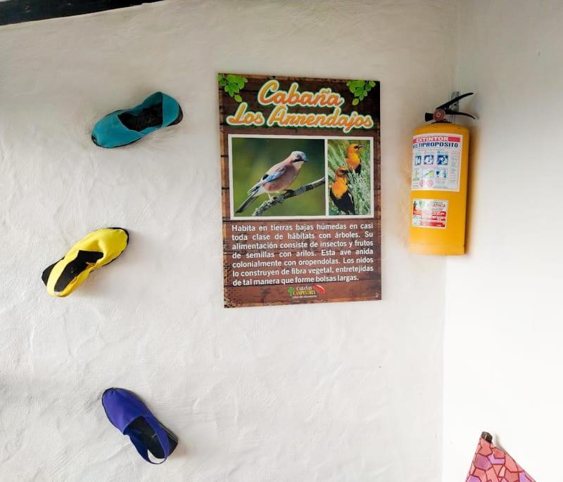 Cabanas Canon Del Chicamocha Aratoca 외부 사진