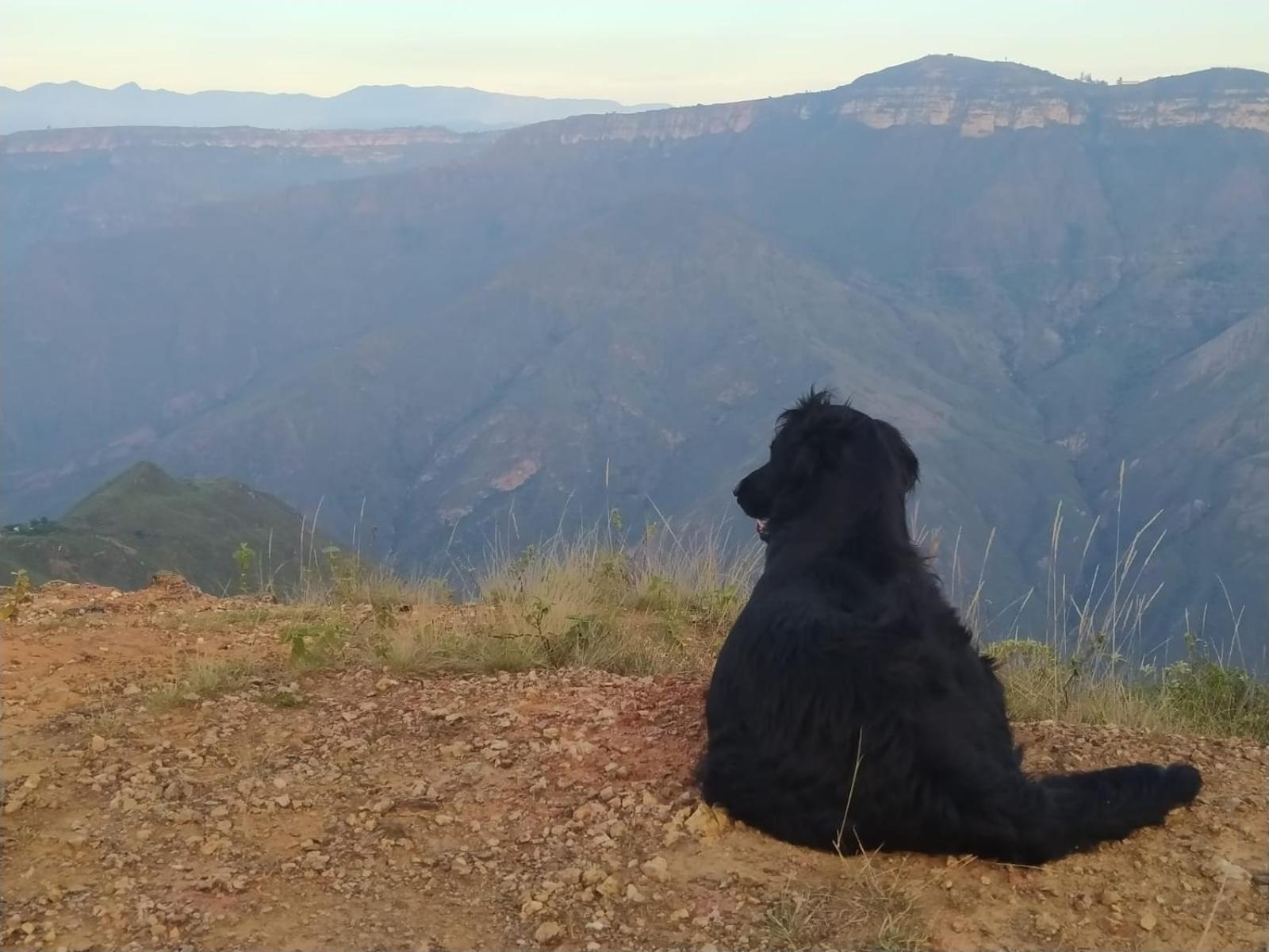 Cabanas Canon Del Chicamocha Aratoca 외부 사진