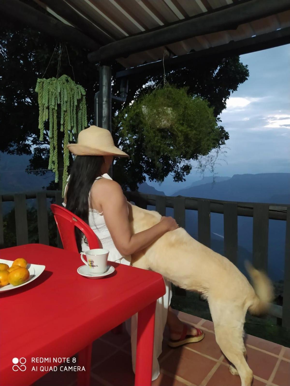 Cabanas Canon Del Chicamocha Aratoca 외부 사진
