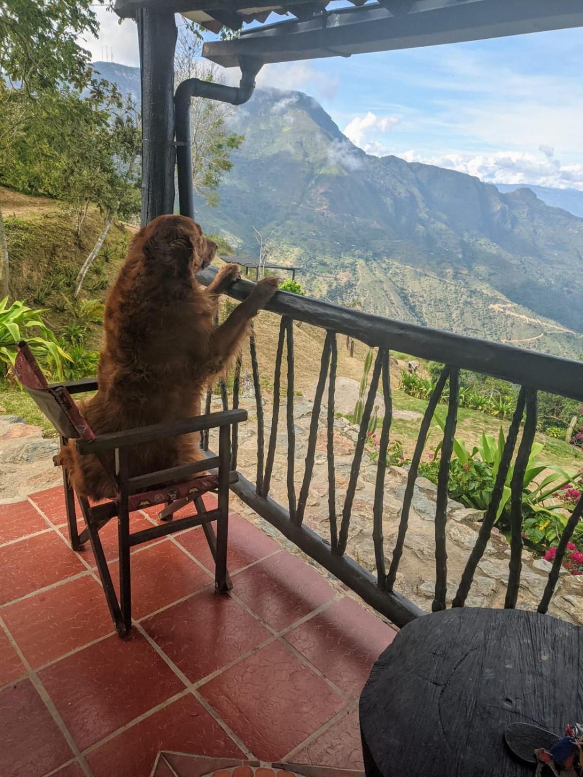 Cabanas Canon Del Chicamocha Aratoca 외부 사진