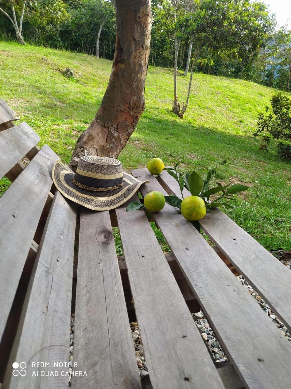 Cabanas Canon Del Chicamocha Aratoca 외부 사진