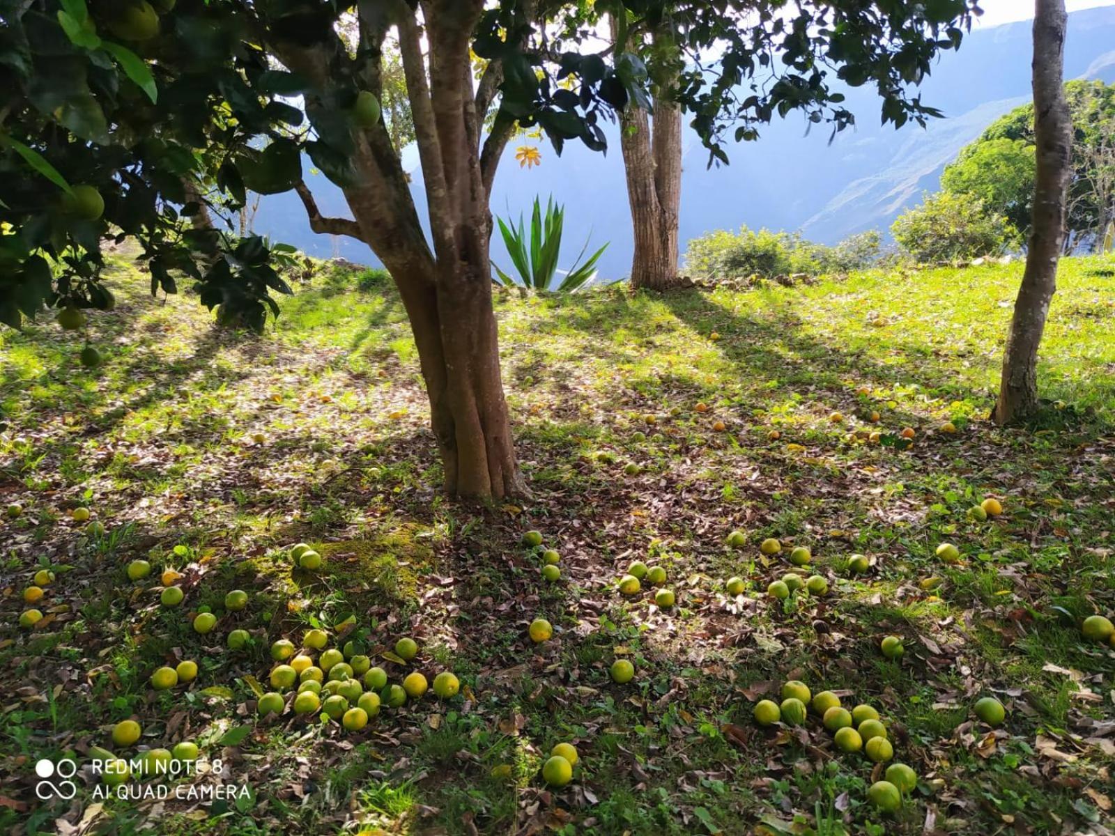Cabanas Canon Del Chicamocha Aratoca 외부 사진